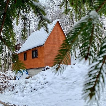 Rožnov pod RadhoštěmChata Pod Pindulou别墅 外观 照片